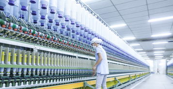 揭秘網(wǎng)易嚴(yán)選工廠 如何通過貨物與技術(shù)進(jìn)出口實現(xiàn)“好的生活沒那么貴”